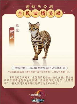无又天龙八部私服